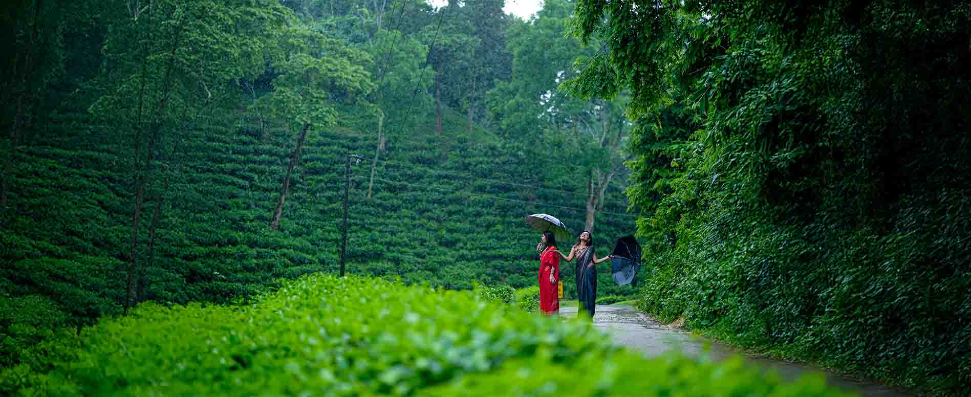 Sreemangal Premium Couple Package